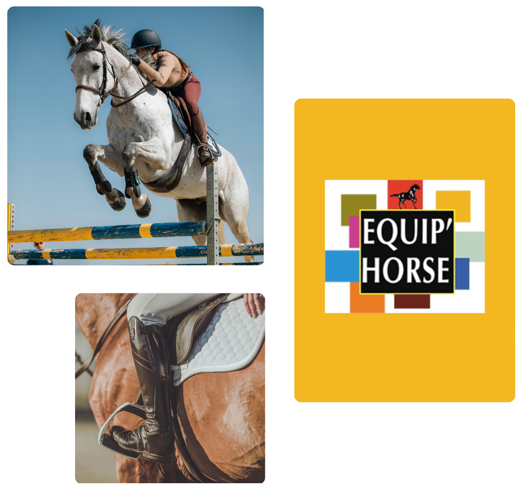 étude Equip Horse