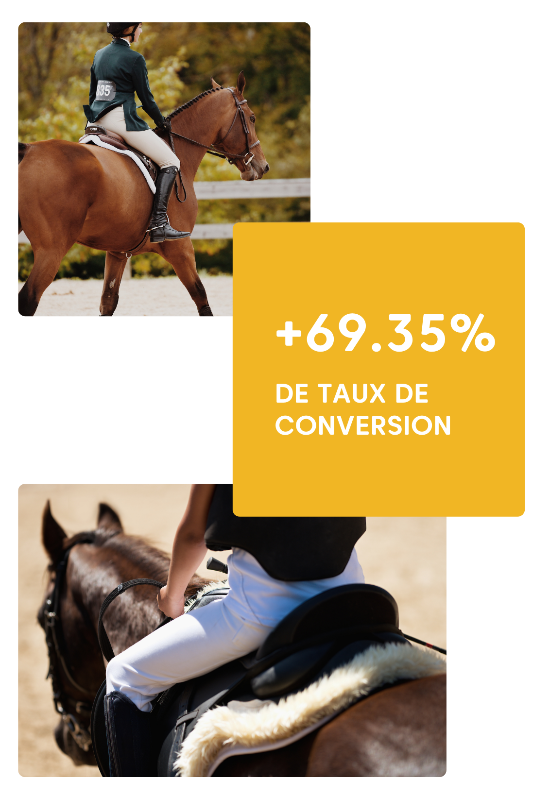 résultats Equip Horse